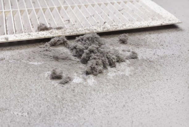 Best Local Air Duct Cleaning Services  in Barclay, NJ