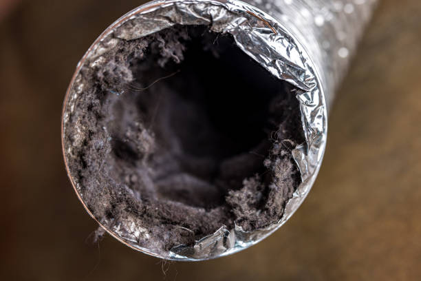 Best Air Duct Inspection  in Barclay, NJ